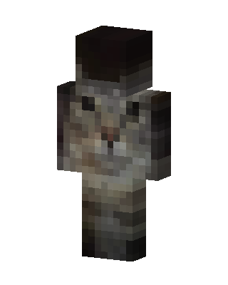 Gray Cat skin, 3D preview