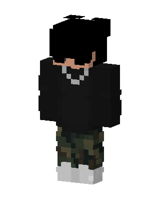 Camo Streetwear skin, 3D preview