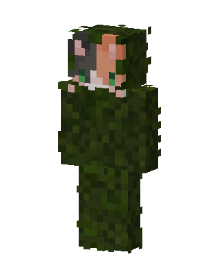 Leaf Cloak Fox skin, 3D preview