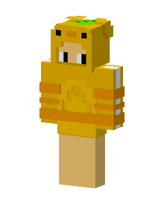 Pineapple Hoodie skin, 3D preview