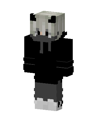 Panda Hoodie Boy skin, 3D preview