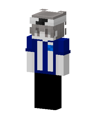 Raccoon Jersey skin, 3D preview