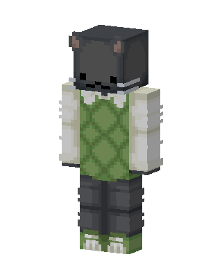 Gray Cat Minecraft skin