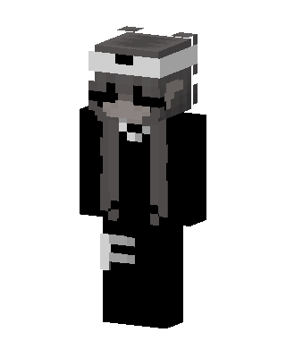 Raccoon Hoodie skin, 3D preview