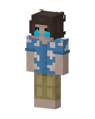 Hawaiian Shirt Guy skin, 3D preview