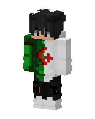 Algeria Hoodie Boy Minecraft skin