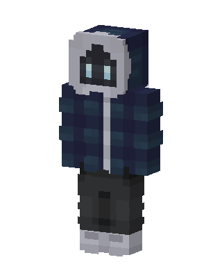Plaid Hoodie Bot skin, 3D preview