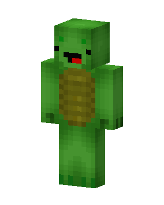 Turtle Derp skin, 3D preview