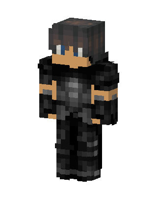 Shadow Knight skin, 3D preview