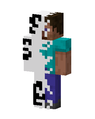 Half Enderman Steve Minecraft skin