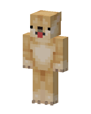 Doge Skin skin, 3D preview