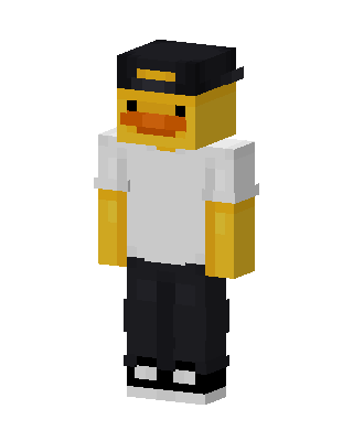 Duck Streetwear skin, 3D preview
