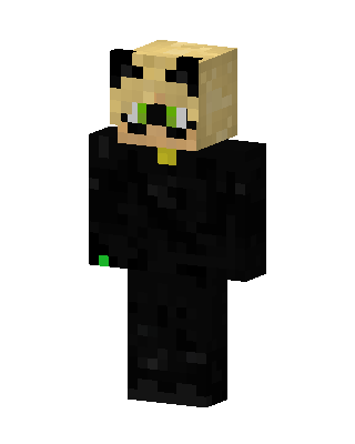 Cat Noir skin, 3D preview