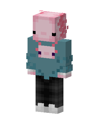 Axolotl Hoodie skin, 3D preview