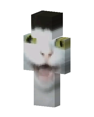 Screaming Cat Minecraft skin