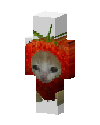 Strawberry Cat skin, 3D preview