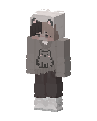 Bear Hoodie Boy skin, 3D preview