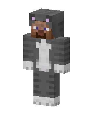 Tabby Cat Onesie Minecraft skin