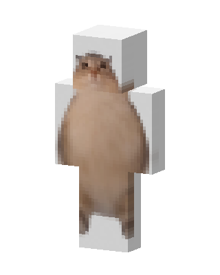 Standing Cat skin, 3D preview