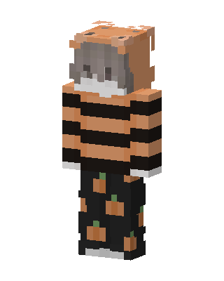 Pumpkin Tiger Hoodie skin, 3D preview