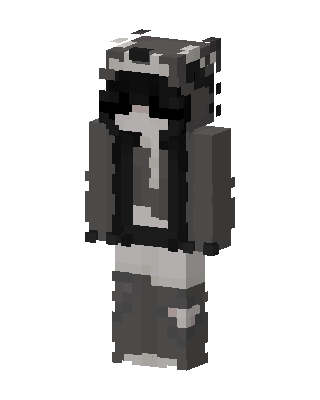 Gray Raccoon Hoodie skin, 3D preview