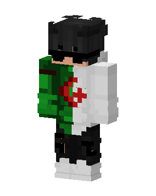 Algeria Hoodie Boy Minecraft skin