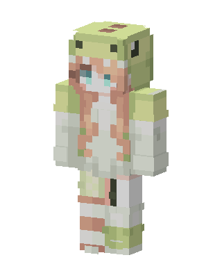 Frog Hoodie Girl skin, 3D preview