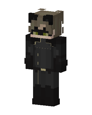 Cat Noir Minecraft skin