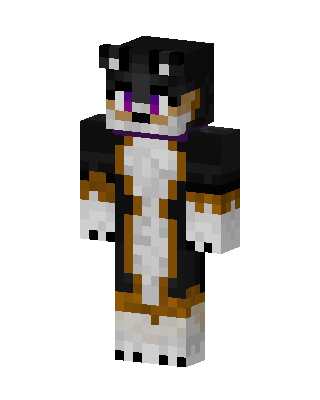 Tricolor Dog skin, 3D preview