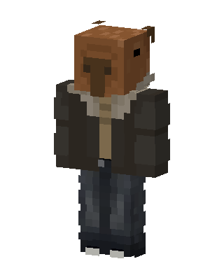 Helmeted Wanderer Minecraft skin