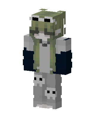 Frog Hoodie Skull skin, 3D preview