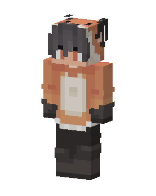 Fox Hoodie Boy skin, 3D preview