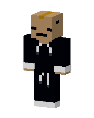Cardboard Box Head skin, 3D preview