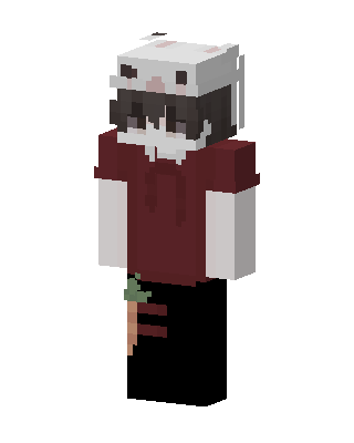 Bunny Hoodie skin, 3D preview