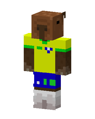 Brazil Jersey Kid Minecraft skin