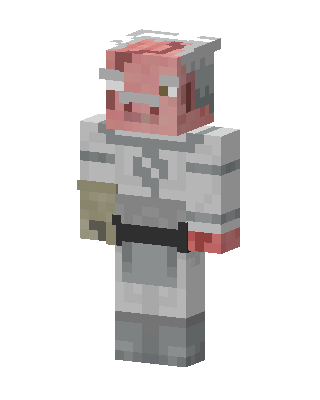Gray Knight Boy Minecraft skin