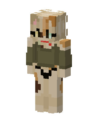 Calico Hoodie Girl skin, 3D preview