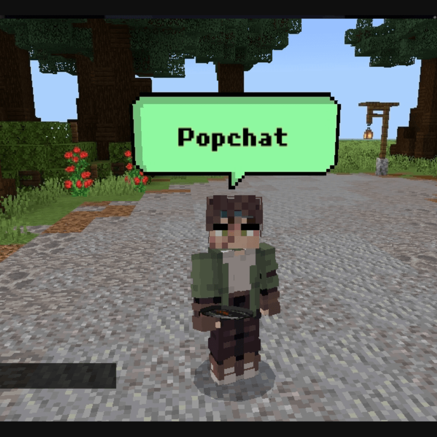 Popchat! Activated 