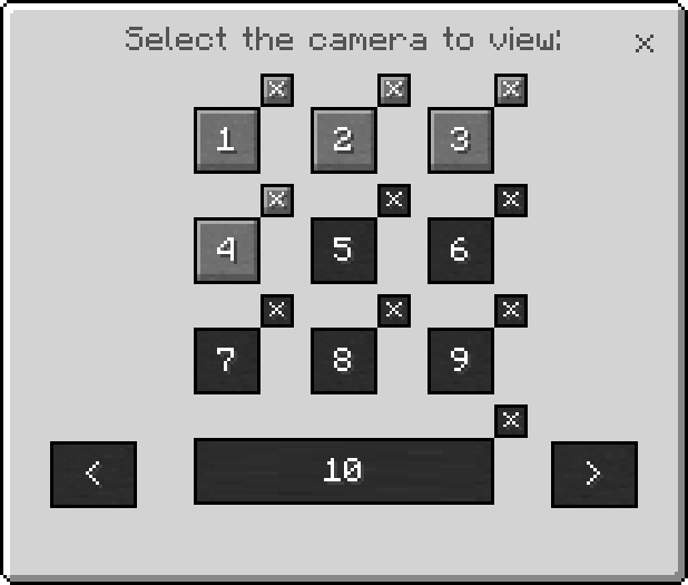 Camera Monitor